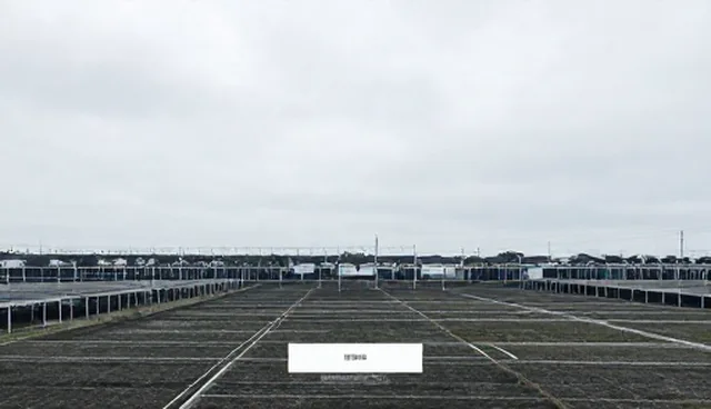 如何从网络环境入手提升服务器稳定性